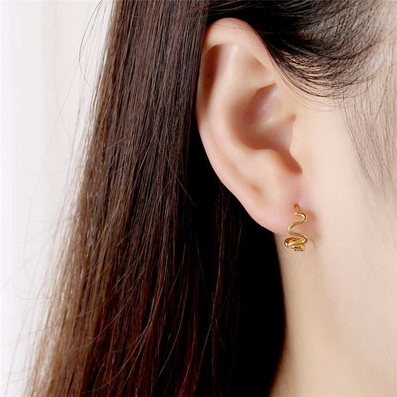 Boucles d'oreilles S925